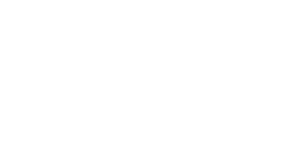 Van de Partij Raalte